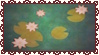 A stamp of lilypads on dark water.